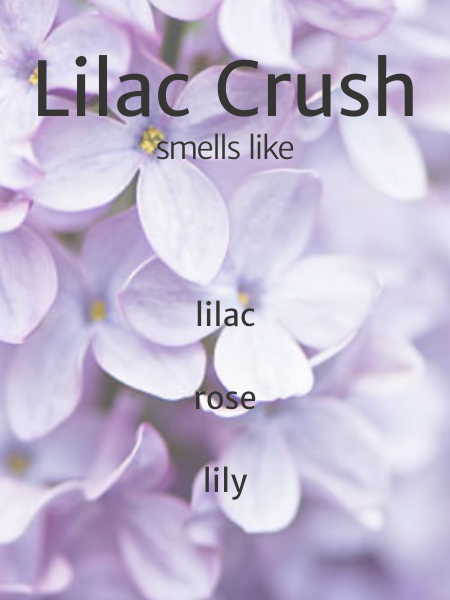 Lilac Crush